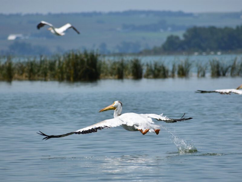 The Flights of South America: Altitude, Connections, and Getting from A to B